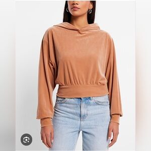 Express Velvet Hooded Sweater Beige Large